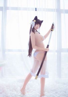 高级教师韩国